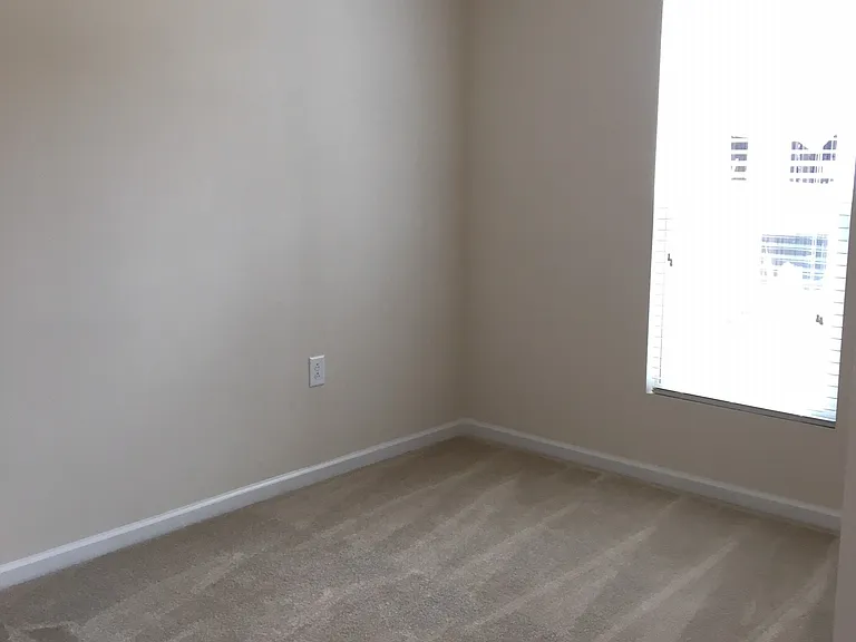 1046 Laceflower Dr — Photo 9