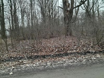 Lakeview Rd, West Farmington, OH, 44491