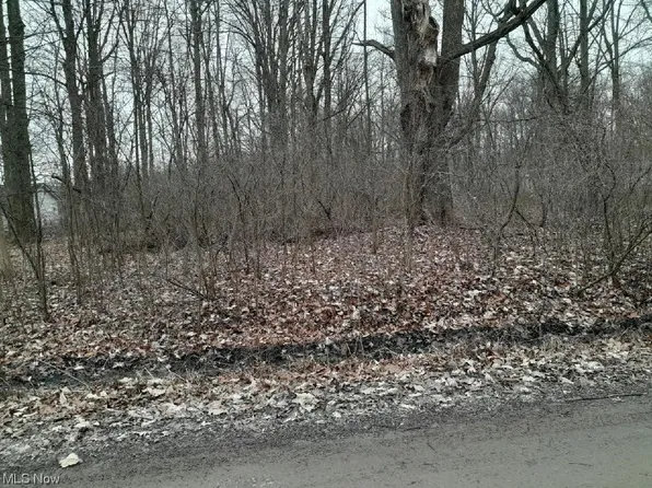 Lakeview Rd, West Farmington, OH 44491