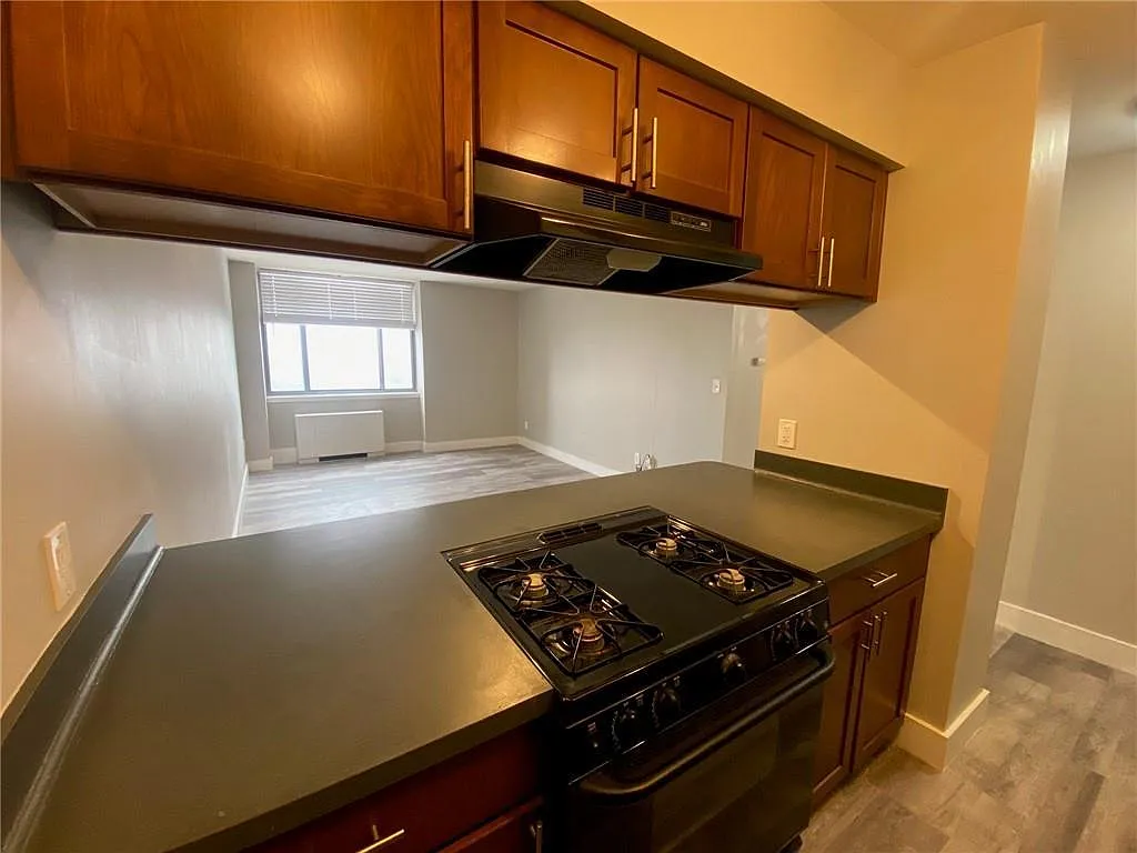 1 bed, 600 sqft, $1,100 — Photo 4