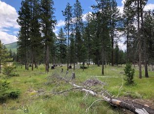 Nhn Highland Dr, Seeley Lake, MT 59868