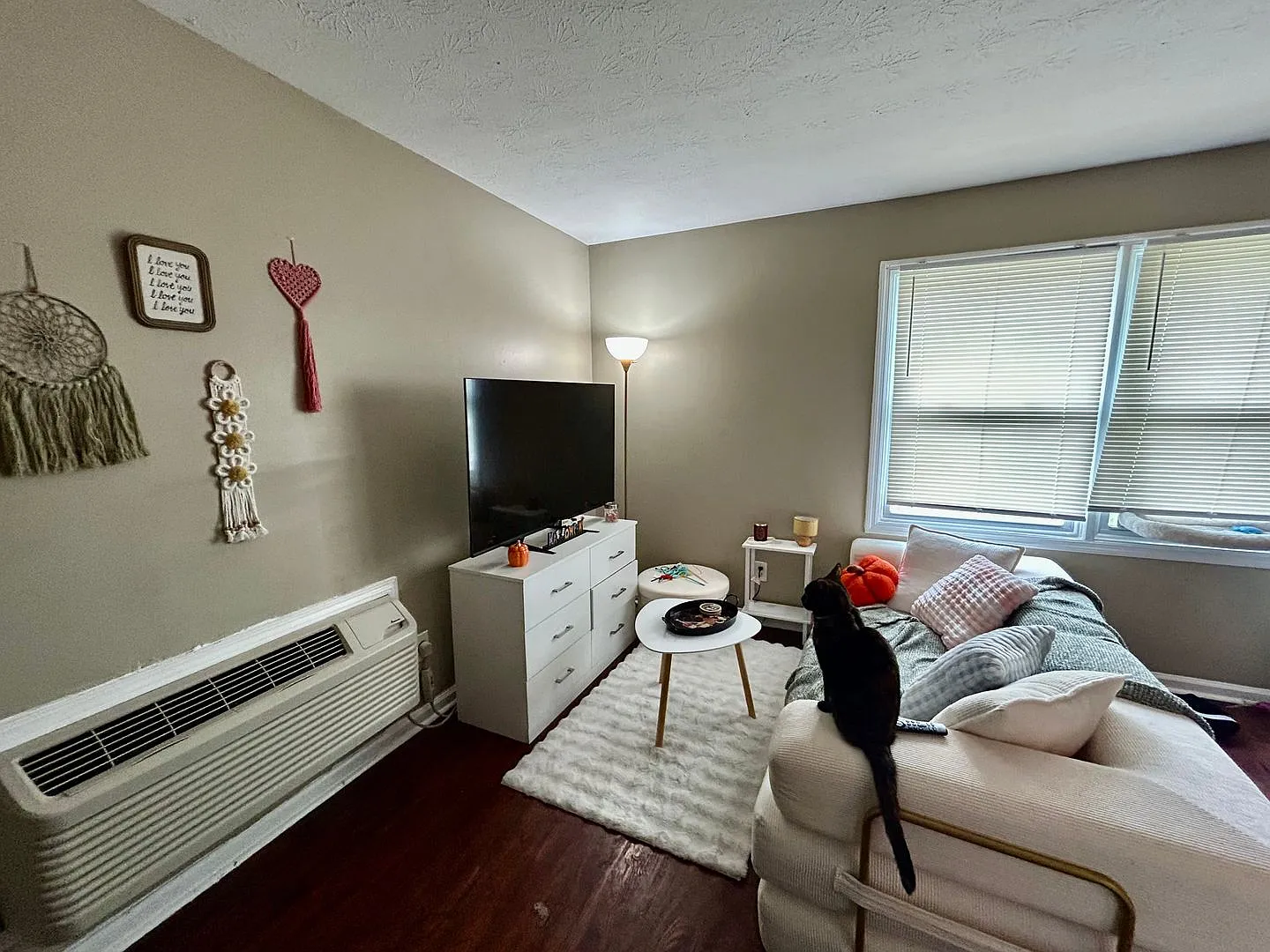 Studio Apartment Available for Pre Lease! — Photo 2