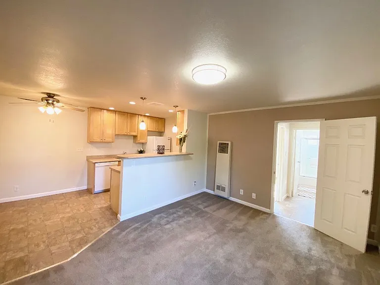 Carpet & Vinyl floor combination