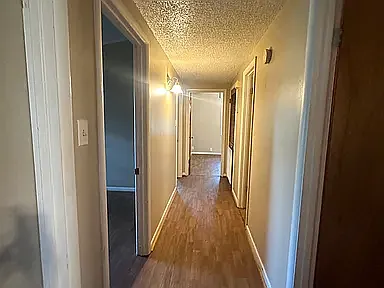 Tulip St — Photo 9