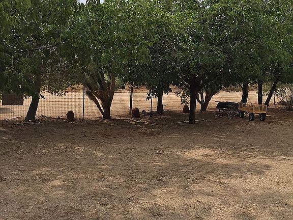 2nd image of 16756 N Navajo Dr