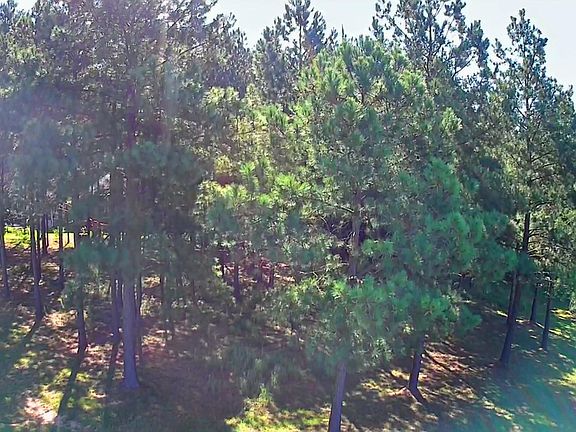 3rd image of 0 Boone Pass #Jf186