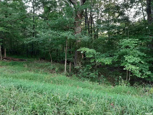 0 Reevesville Rd, Grantsburg, IL 62943