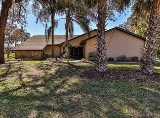 250 E Hartford St, Hernando, FL 34442