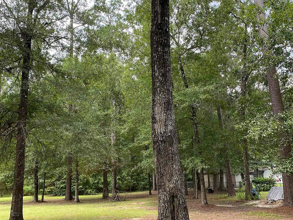 2nd image of Pine Hvn