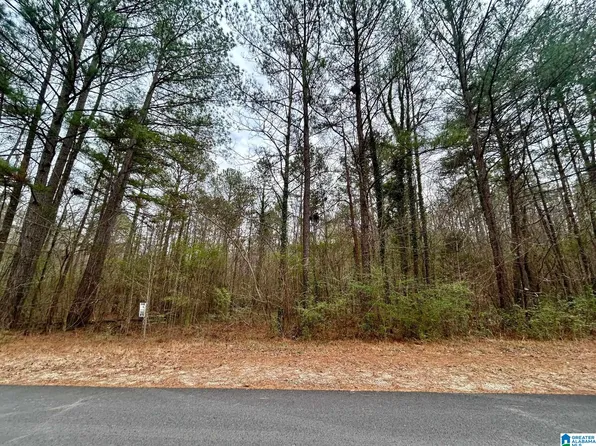 Sequoyah Rd Tract 5, Pell City, AL 35128