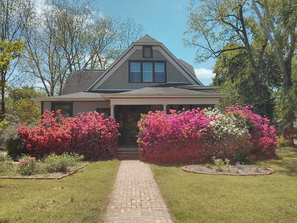 Azaleas in bloom