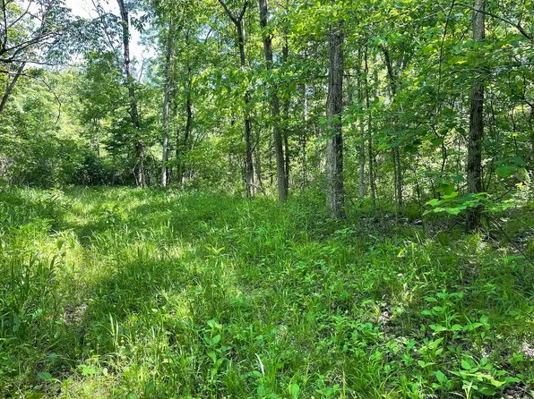 000 County Road P-164, Fremont, MO 63941