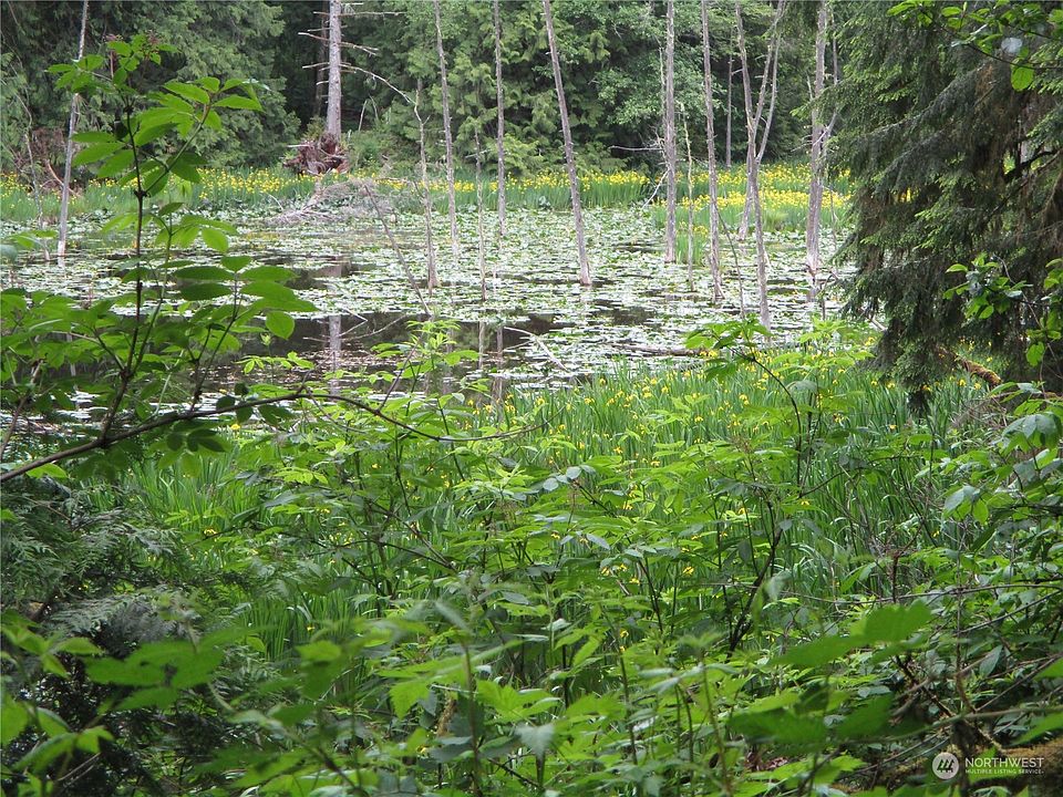 1st image of 0 E Blue Heron Acreage