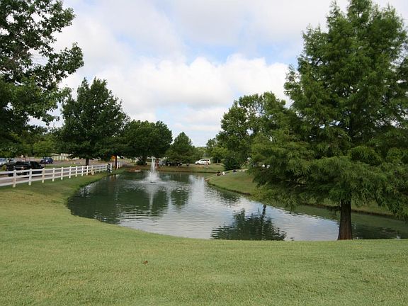 Neighborhood Pond