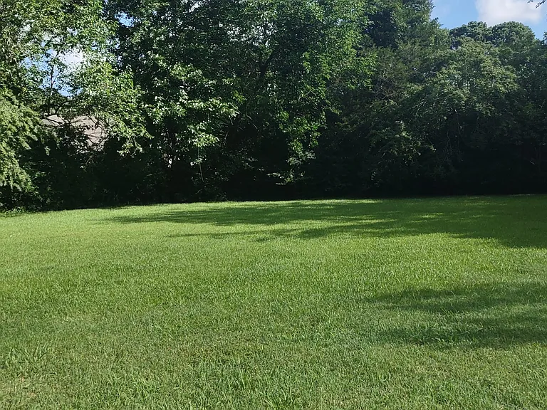 10 Ponderosa Dr — Photo 20