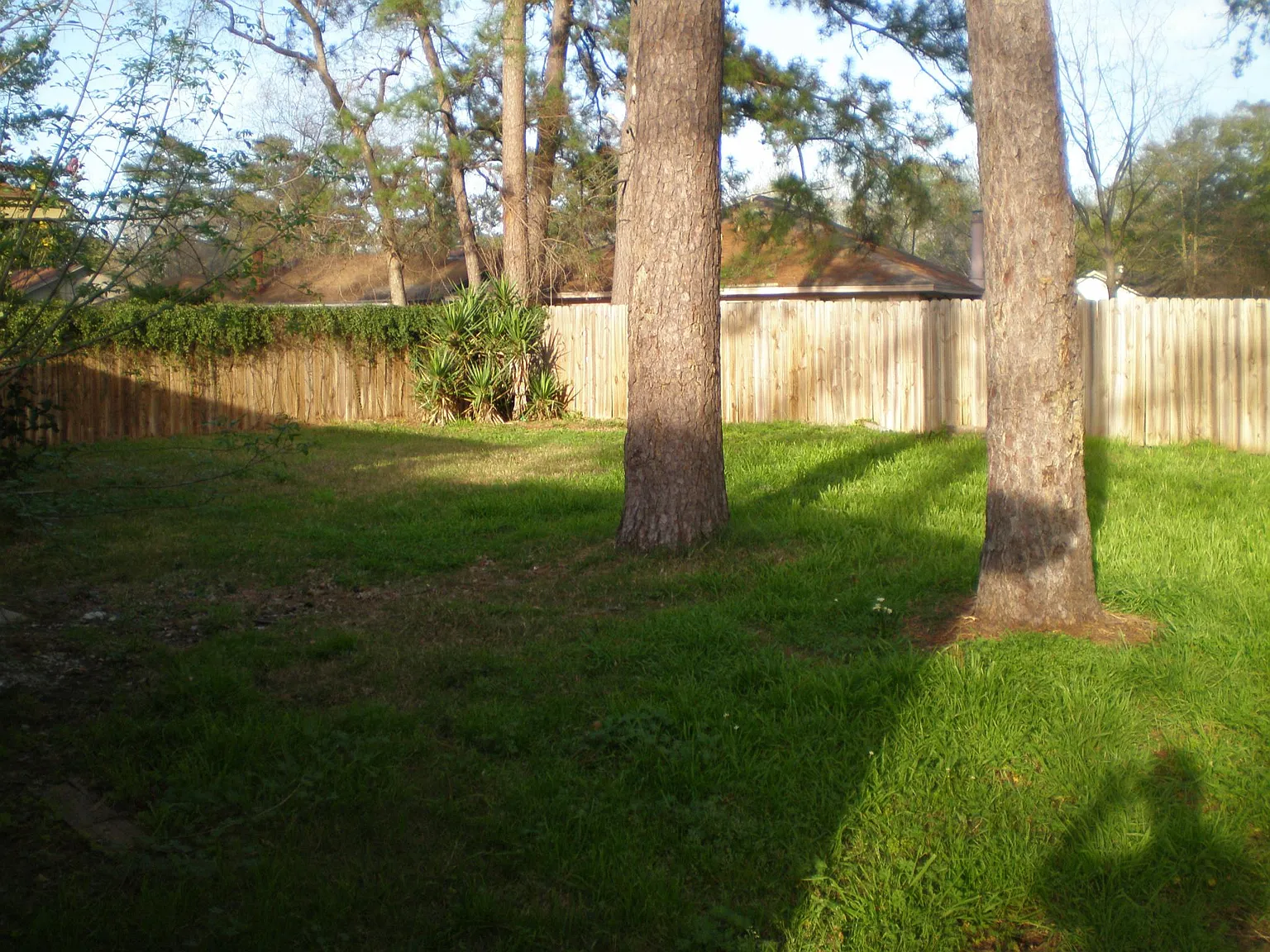 3 bed, 1680 sqft, $1,800 — Photo 2