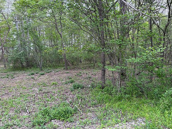 4th image of 182 Nydeck Rd