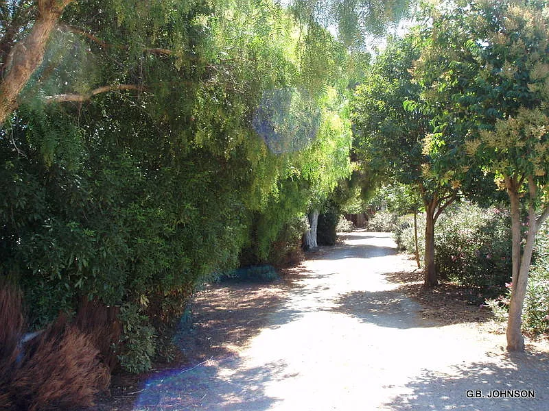 4440 Decoto Rd — Photo 3