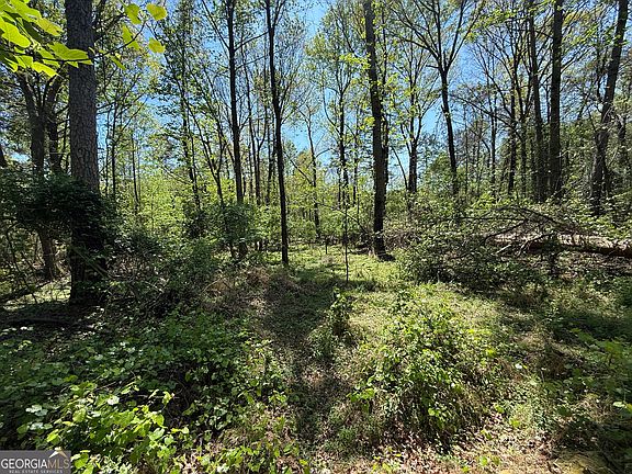 5th image of 0 Panhandle Cir
