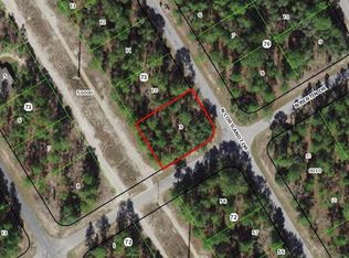 9412 N Cortlandt Dr, Citrus Springs, FL 34434