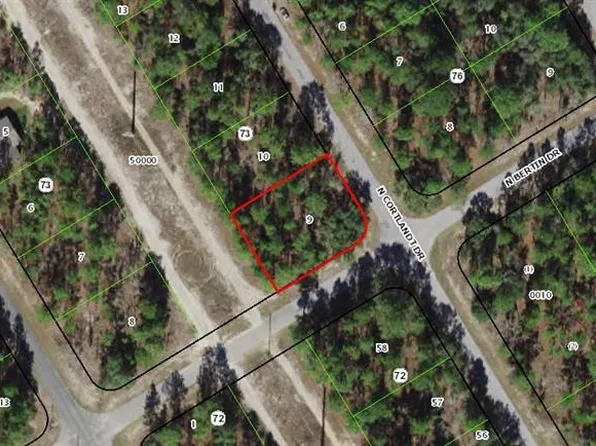 9412 N Cortlandt Dr, Citrus Springs, FL 34434