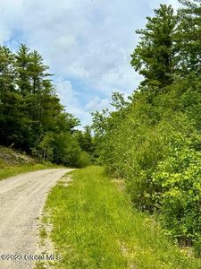 L82.3 Old Ghost Road Lot 22, Canaan, NY, 12029
