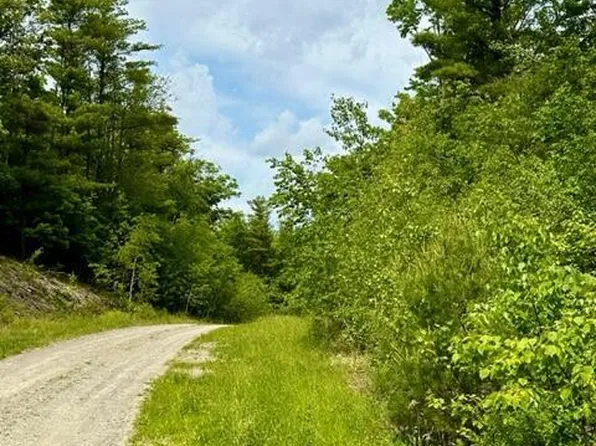 L82.3 Old Ghost Road Lot 22, Canaan, NY 12125