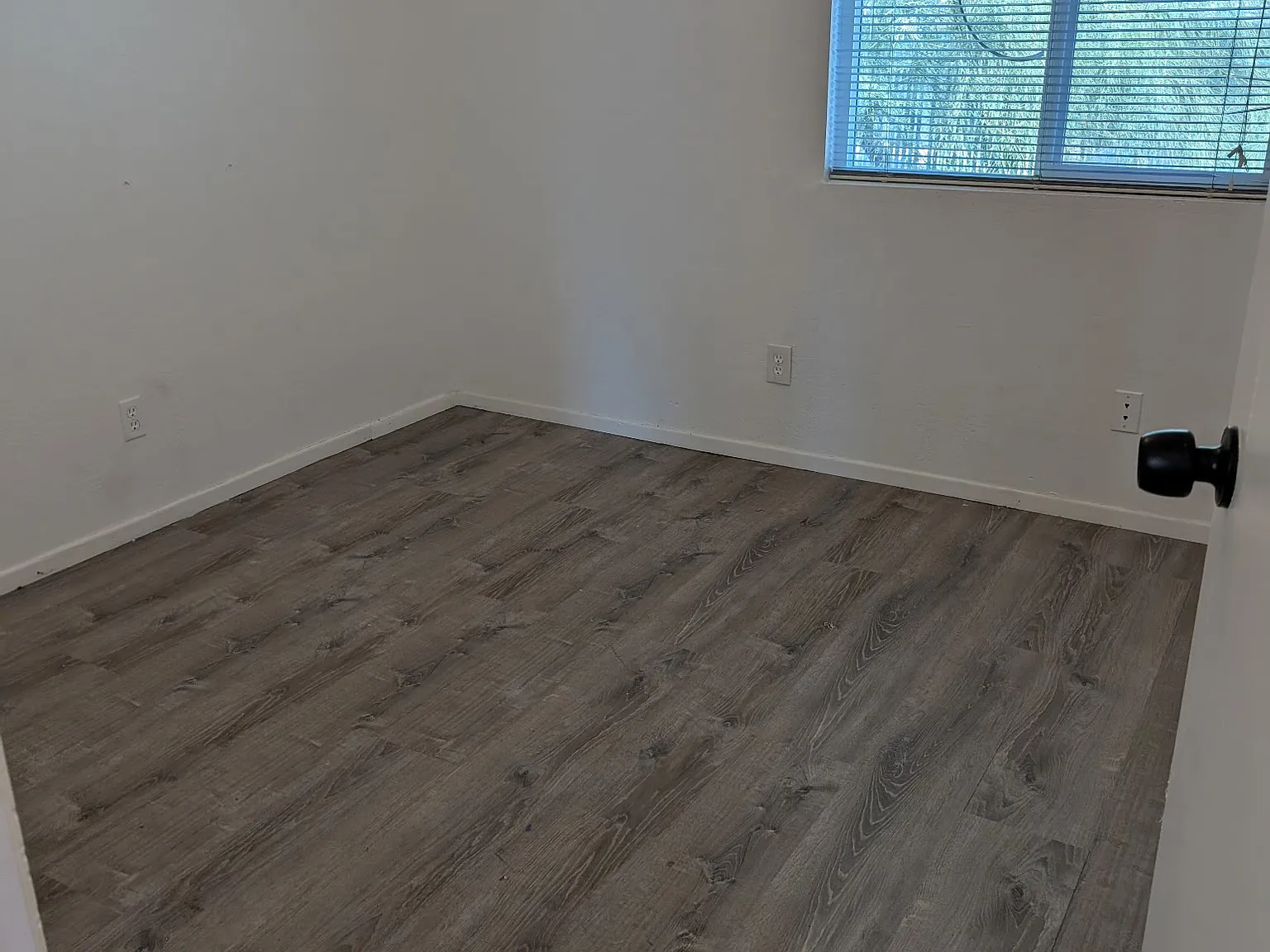 3 bed, 850 sqft, $1,300 — Photo 3