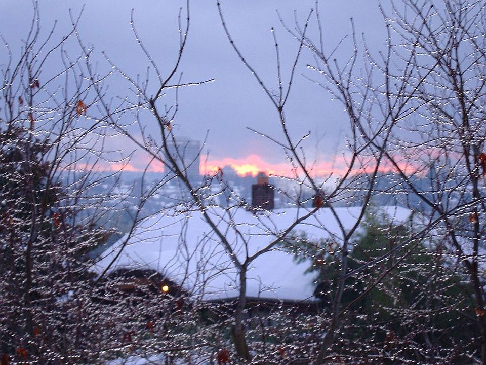 The view from our front yard. Space Needle, Olympics and Lake Washington.
