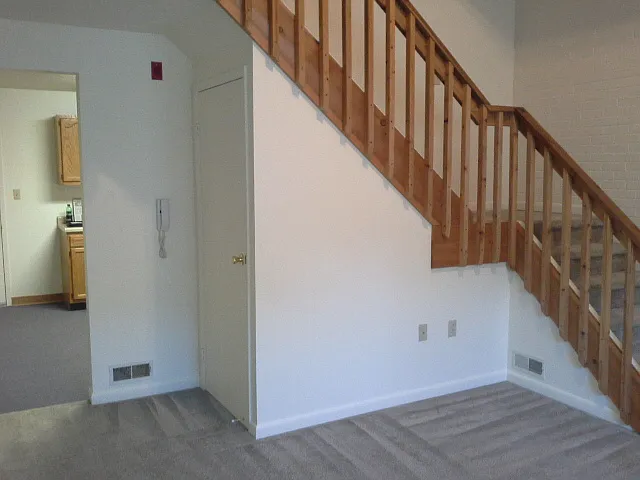 1 bed, 1200 sqft, $925 — Photo 3