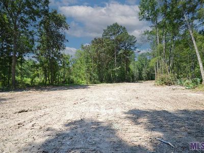 33590 Stella Ln, Walker, LA, 70785