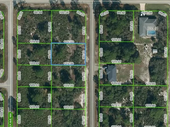 103 Wildcat St NW, Lake Placid, FL 33852