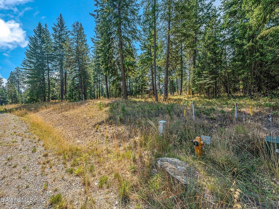 1st image of L4b1 N Walden Loop