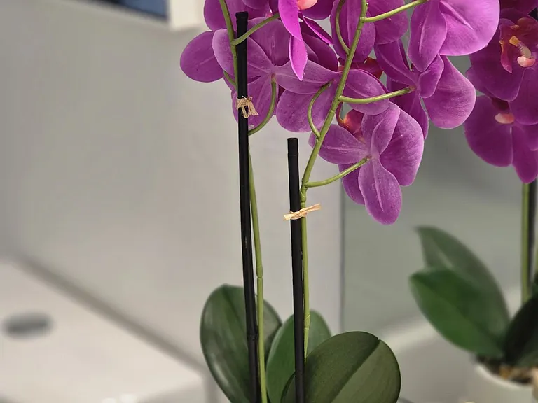 S 35th Pl — Photo 31
