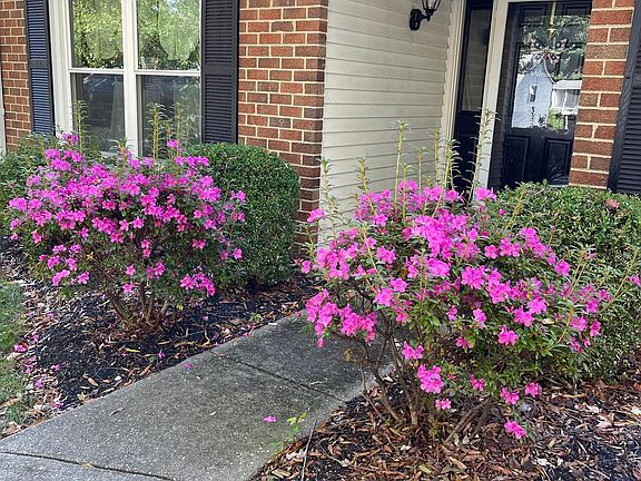 2nd image of 931 Mastline Dr