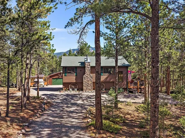 13183 S Piute Drive, Pine, CO 80470