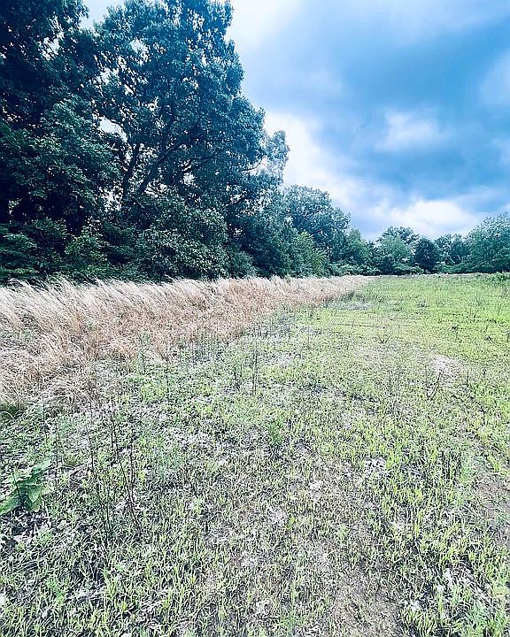 2nd image of 50230 County Road 652 Parcel 3