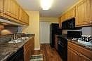 Kitchen Style in the unit