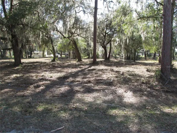 (undisclosed Address), Lake Panasoffkee, FL 33538