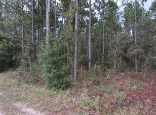 11 SW 96th Ln, Dunnellon, FL 34432