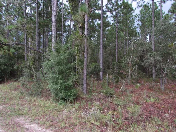 11 SW 96th Ln, Dunnellon, FL 34432