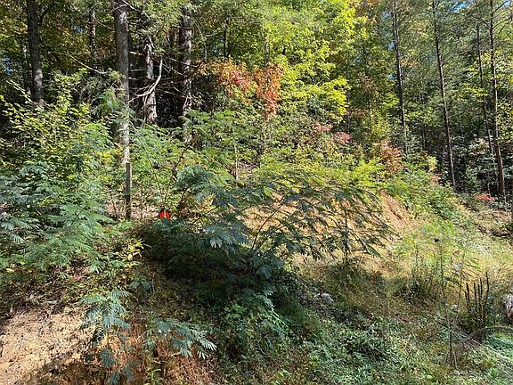 3rd image of 0 Palmer Rd Lot 7
