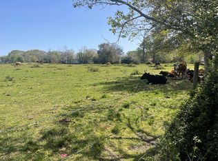 County Road 95/mustang Bayou Rd LOT 2, Manvel, TX 77578