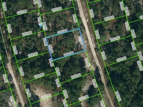 210 Fascination Dr #17, Lake Placid, FL 33852