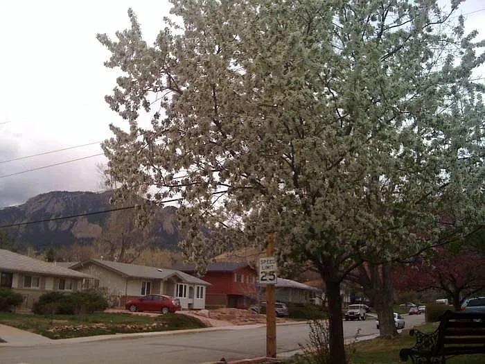 505 Hartford Dr — Photo 3