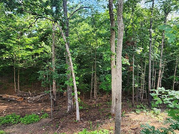 4th image of 610 Alpine Rd