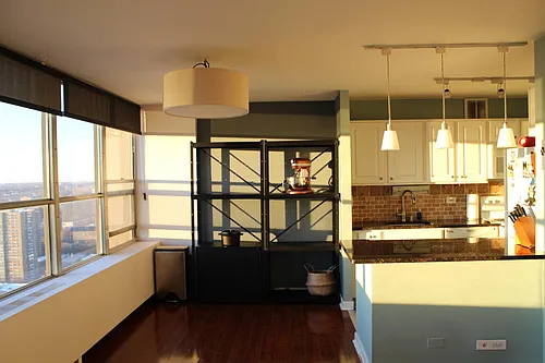 655 W Irving Park Rd #3317 Photo 1