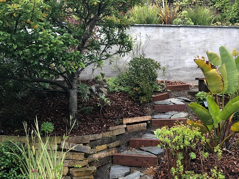 Backyard steps