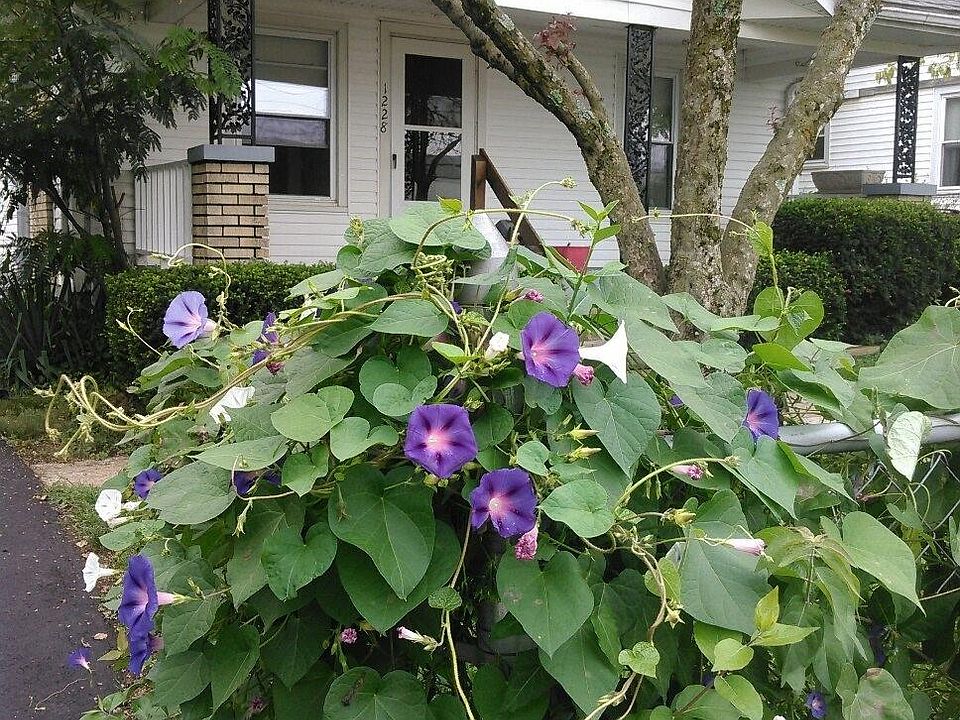 1st image of 1228 Hammond Ave