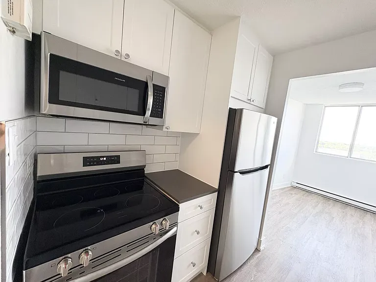 294 Chandler Dr #1104 — Photo 19